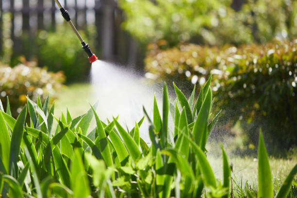 Tamper-Resistant Bait Stations for Rodents in Patchogue