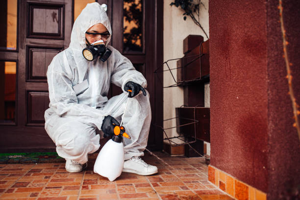 Attic and Crawl Space Rodent Treatment in Patchogue